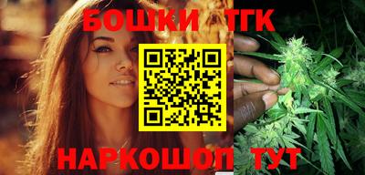 индика Пугачёв