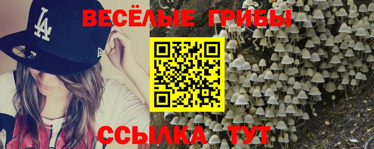 Галлюциногенные грибы Psilocybine cubensis Сертолово
