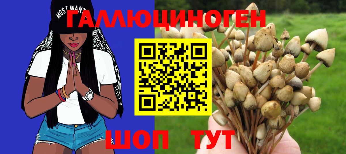 даркнет сайт  Вход с VPN  Сертолово  Галлюциногенные грибы Psilocybine cubensis  Псилоцибиновые грибы прущие грибы 