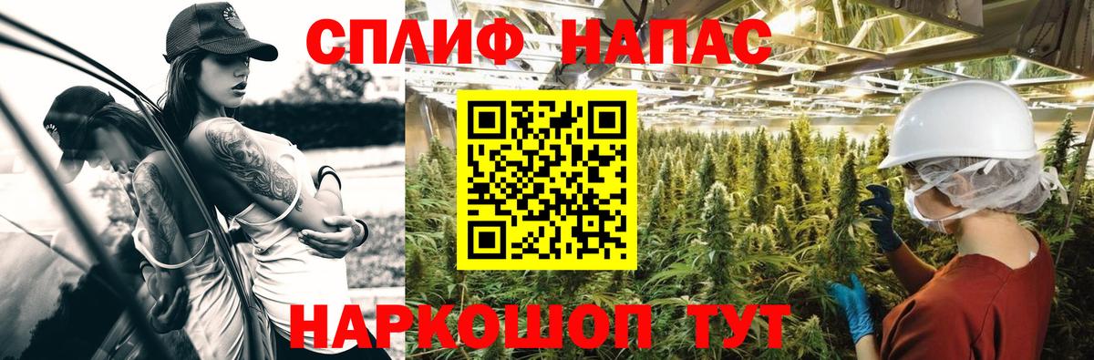 Бошки марихуана гибрид  Бошки Шишки LSD WEED  Каннабис планчик  Сертолово  Вход с VPN 